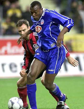 解这些自然 解这些自然