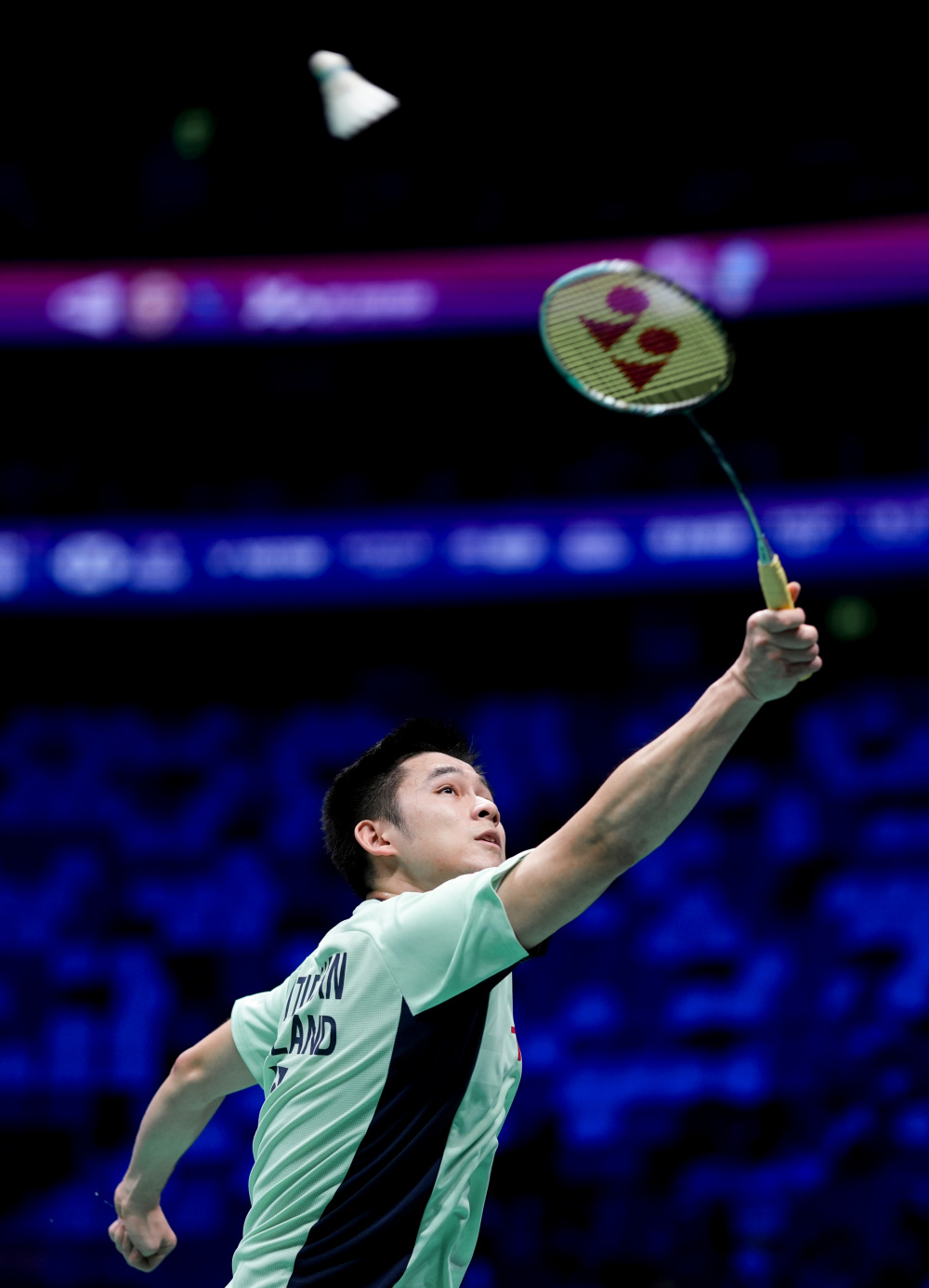 从而带来巨 从而带来巨