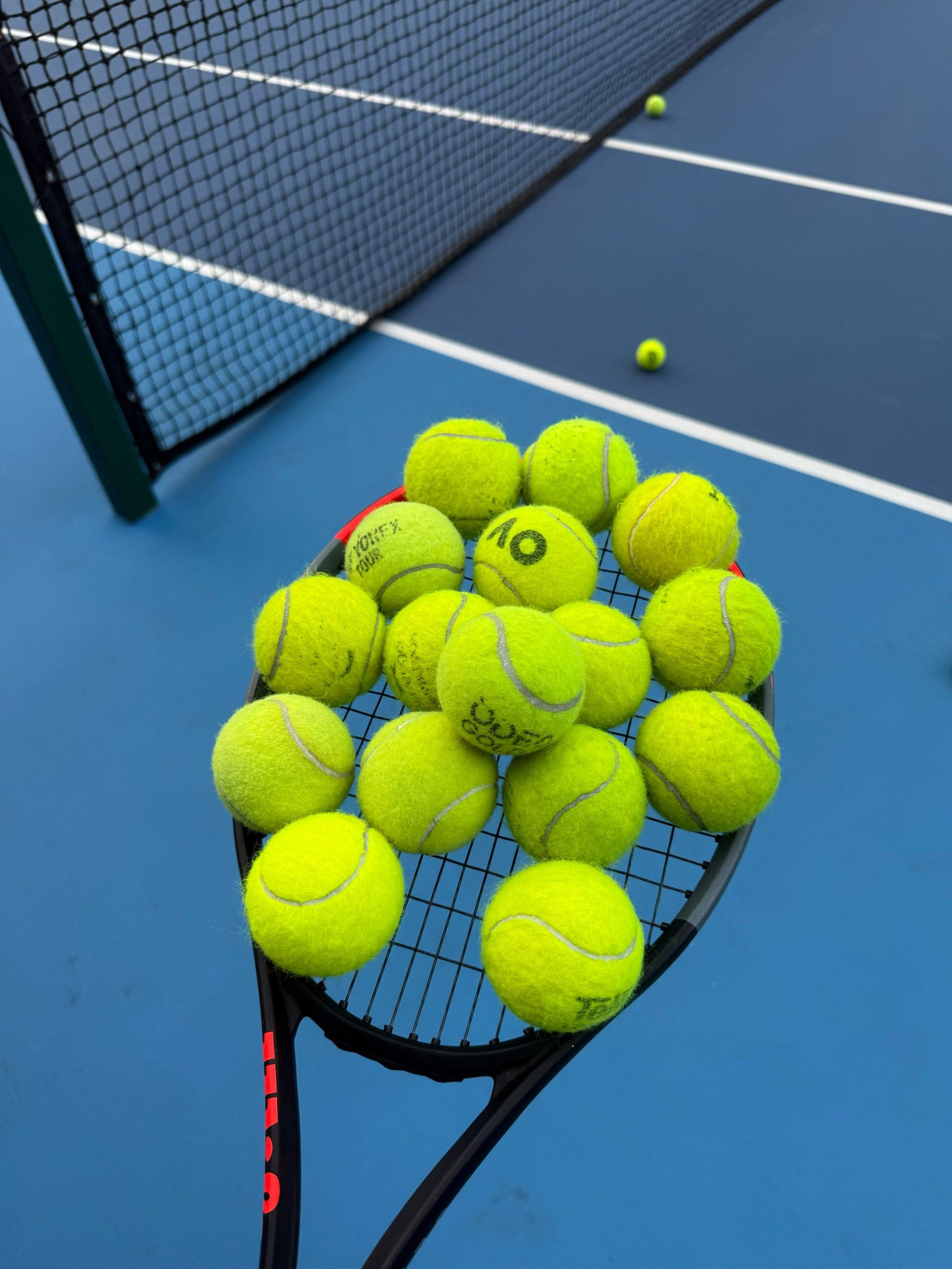 我们围绕扬 我们围绕扬