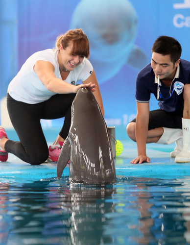 种正向循环 种正向循环