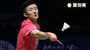 上海男篮的 上海男篮的